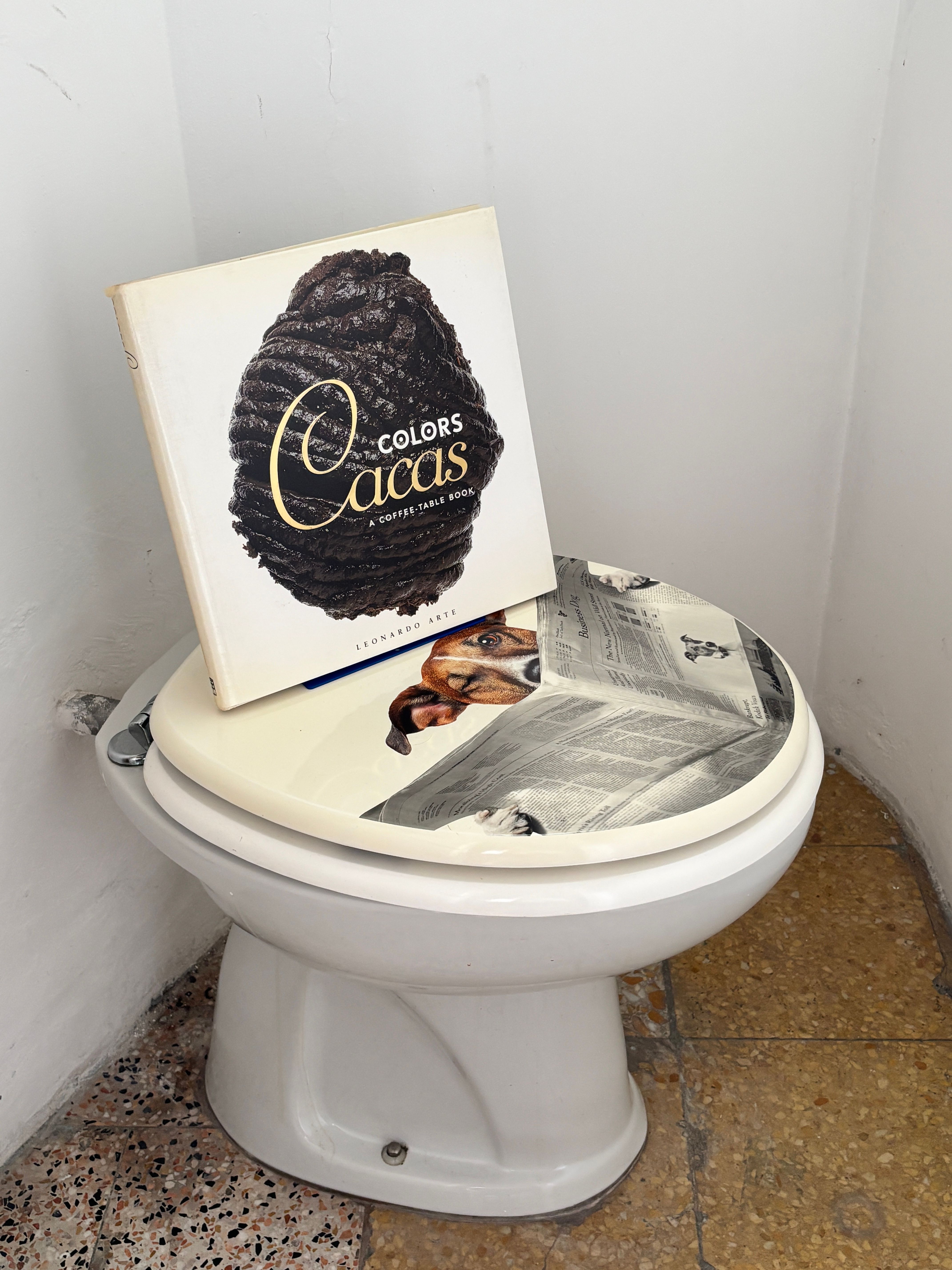 Cacas. A coffee table book - Allestimento in uno degli spazi della Kasa dei Libri con libro su tavoletta del WC