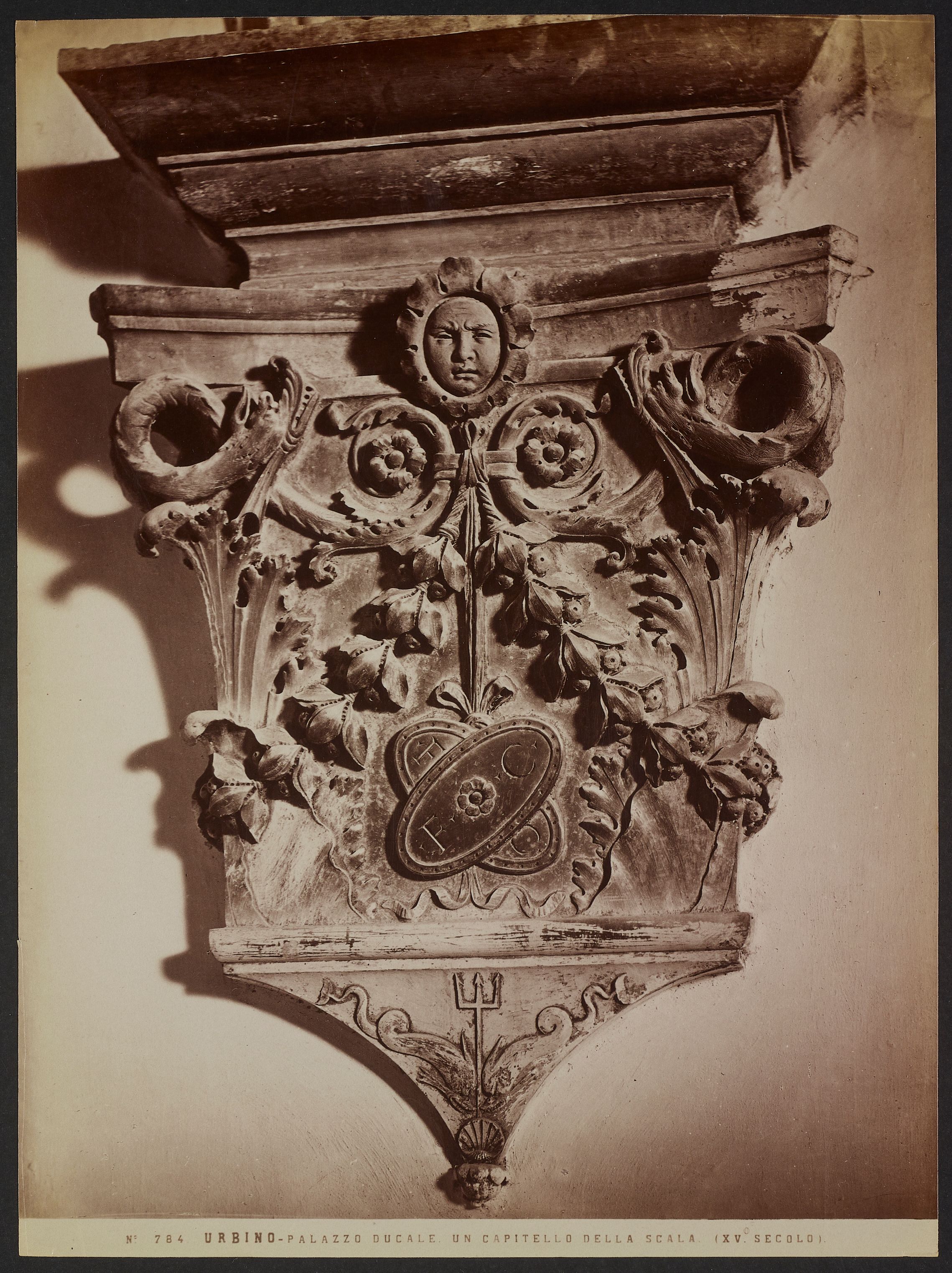 Fratelli Alinari (attr.), Peduccio dello scalone di Palazzo Ducale di Urbino con fiore antropomorfo, 1860-1880